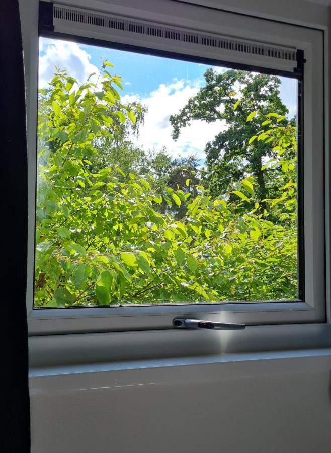 Lodge Goudvink Nunspeet Veluwe Екстер'єр фото