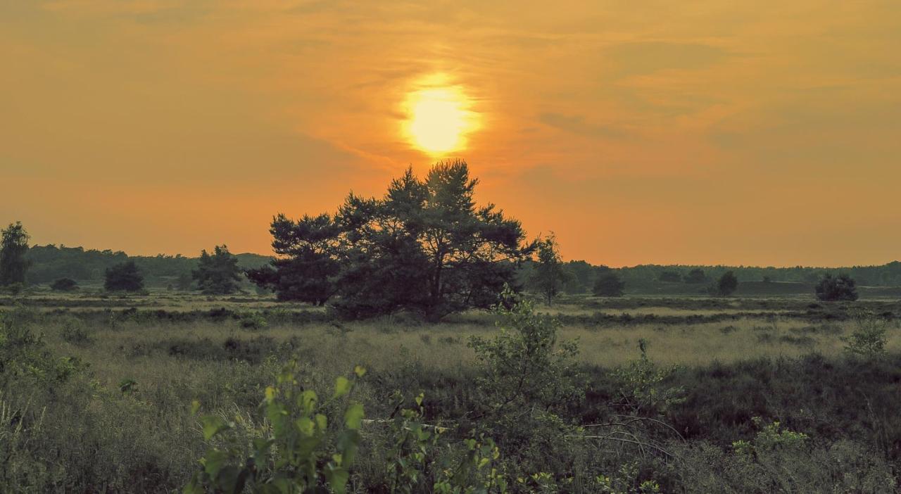 Lodge Goudvink Nunspeet Veluwe Екстер'єр фото