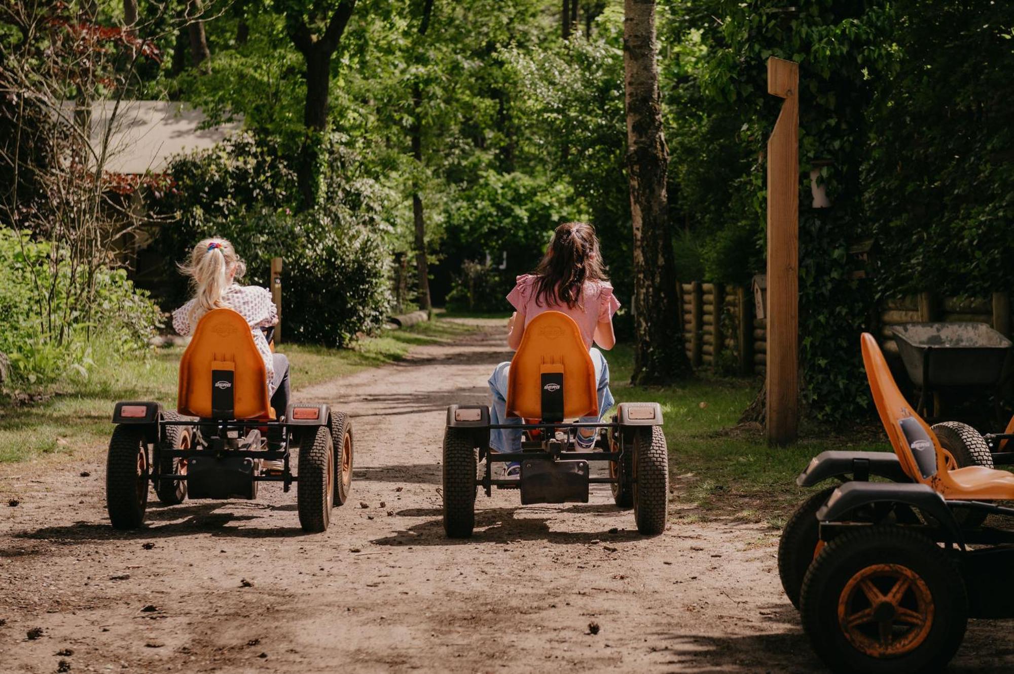 Lodge Goudvink Nunspeet Veluwe Екстер'єр фото