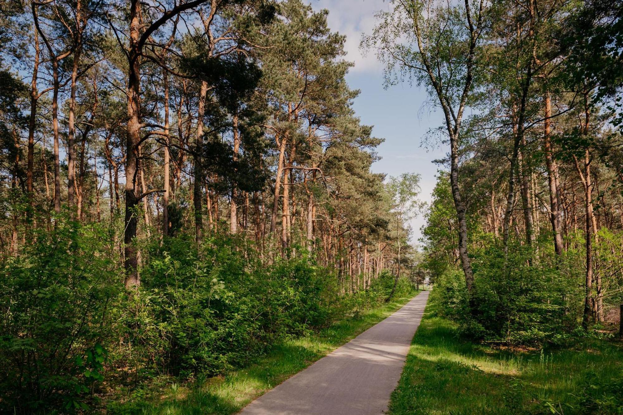 Lodge Goudvink Nunspeet Veluwe Екстер'єр фото